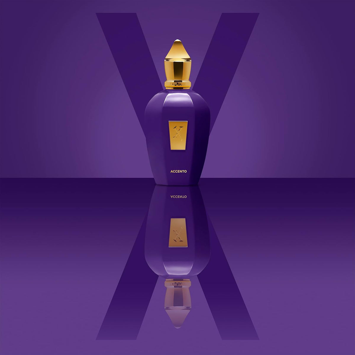 Hub Wavy Xerjoff Accento luxury unisex perfume bottle, 3.4 oz, with elegant design and gold accents.