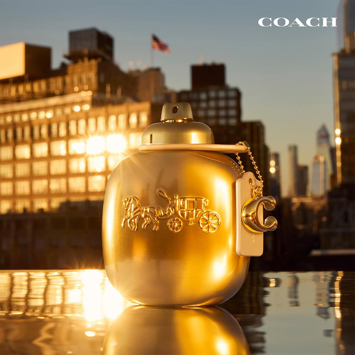 Hub Wavy Coach Gold Parfum for Women in 3 oz bottle, luxurious gold packaging, elegant perfume for women.