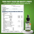 Benevolent Chlorophyll Liquid Drops for Internal Freshness, Peppermint