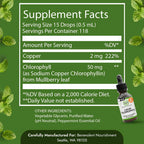 Benevolent Chlorophyll Liquid Drops for Internal Freshness, Peppermint