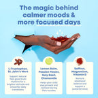 JoySpring Mood Magic Kids Saffron Sticks, Fruit Punch, 25 Ct, 4+