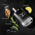 Giorgio Armani Acqua di Giò Profumo men's perfume bottle, 3.4 oz / 100 ml, luxury fragrance for men with sleek design