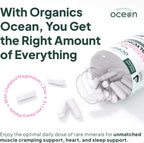 Organics Ocean Pure Magnesium Glycinate Supplement with Zinc, 90 Capsules