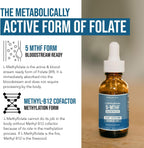 LMethylfolate 15mg Liquid + Methyl B12 Cofactor, High Potency Active 5-MTHF