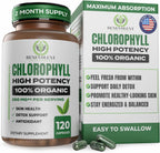Benevolent Chlorophyll Liquid Drops for Internal Freshness, Peppermint
