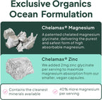 Organics Ocean Pure Magnesium Glycinate Supplement with Zinc, 90 Capsules