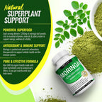 Toplux Moringa Capsules 1200mg – Pure Moringa Powder High Potency Leaf Extract Green Superfood Rich in Antioxidant, for Energy & Immune Support, Vegan Non-GMO 90 Capsules