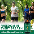 Mullein Extract, Mullein Leaf Extract, Mullein Leaf Drops, Alcohol-Free, Health Supplement Drops (60 ml (Pack of 1)