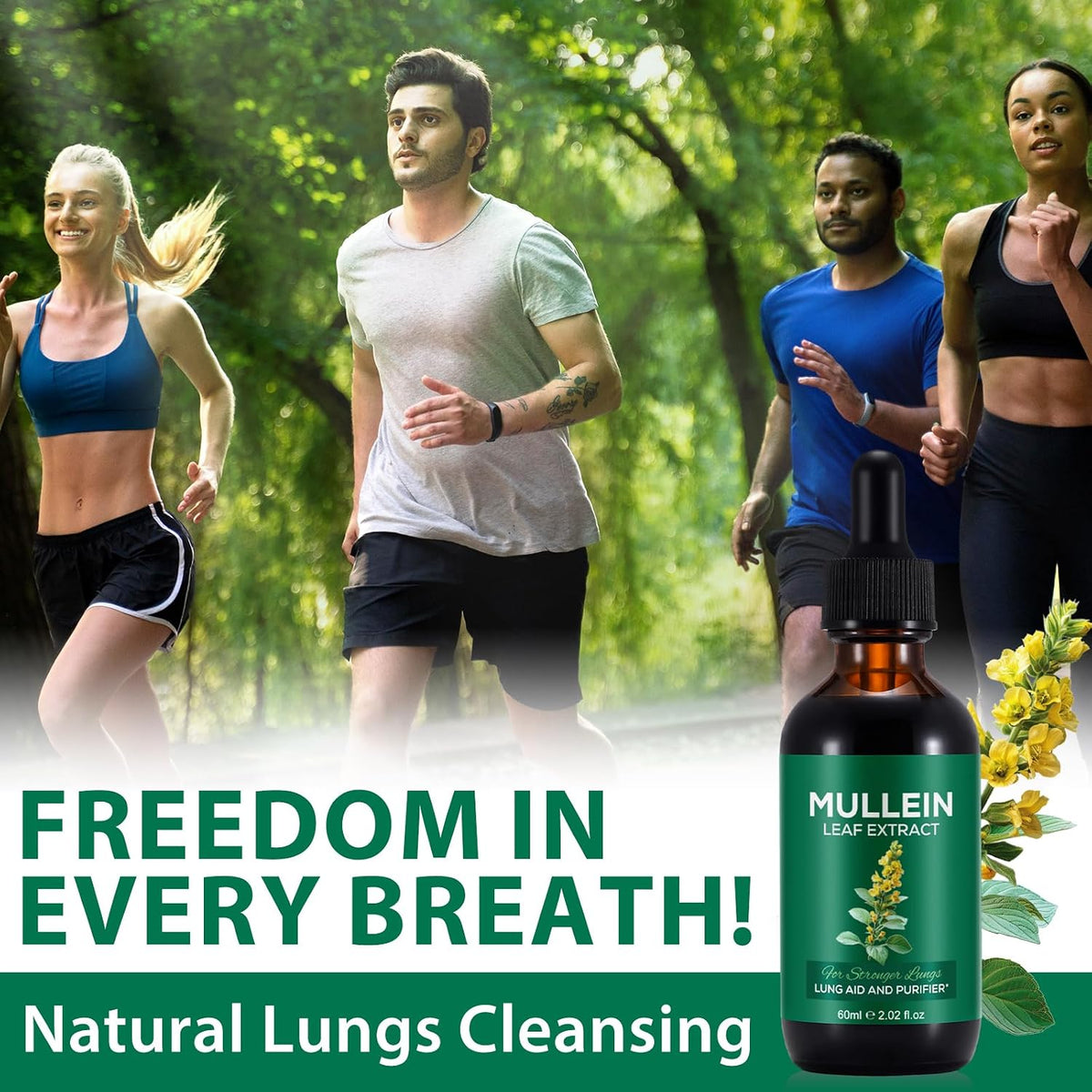 Mullein Extract, Mullein Leaf Extract, Mullein Leaf Drops, Alcohol-Free, Health Supplement Drops (60 ml (Pack of 1)