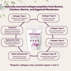 Micro Ingredients Multi Collagen Peptides Powder, 1lb (41 Servings)