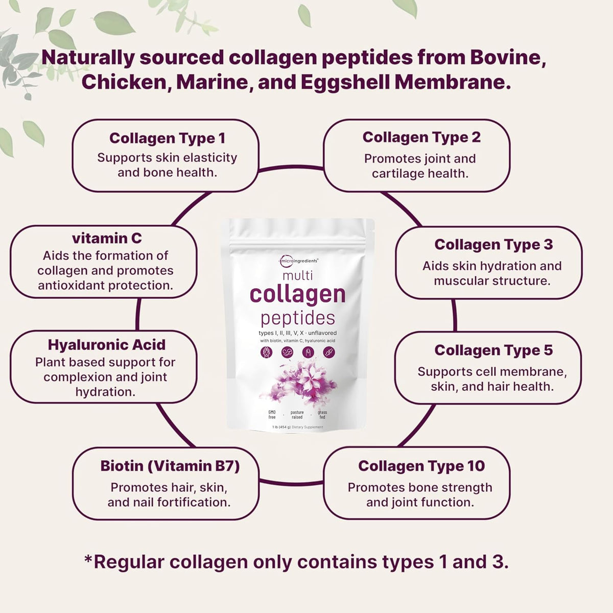 Micro Ingredients Multi Collagen Peptides Powder, 1lb (41 Servings)