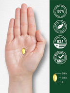 Carlyle Oil of Oregano Softgels | 150 Capsules | Contains Carvacrol
