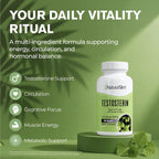 NaturalSlim Testosterin Testosterone Support, Ginkgo Biloba,180 Capsules