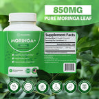 Rosabella Moringa+ Capsules - Pure Moringa Powder, Energy, Skin, Immune & Gut Health Superfood, Rich in Antioxidants, Essential Vitamins & Amino Acids, Natural Green Superfood Supplement - 60 Count