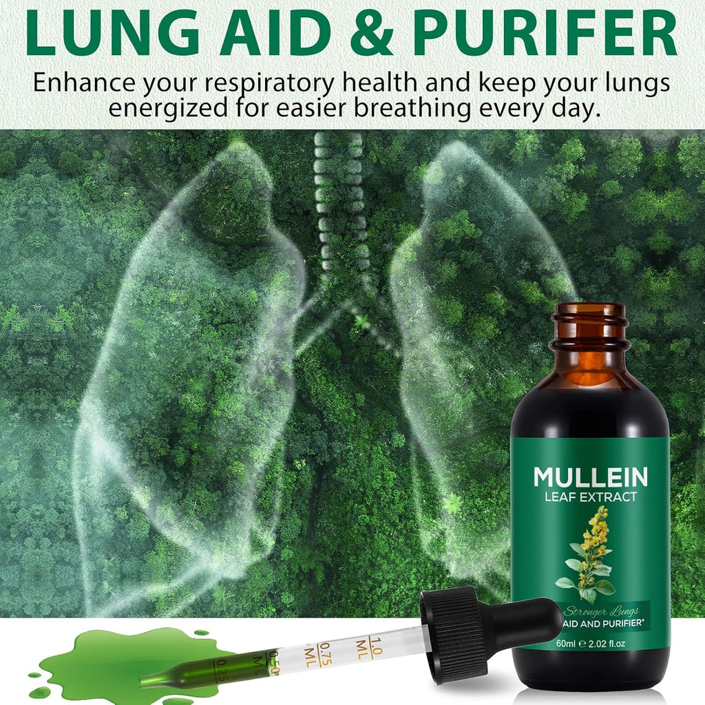 Mullein Extract, Mullein Leaf Extract, Mullein Leaf Drops, Alcohol-Free, Health Supplement Drops (60 ml (Pack of 1)