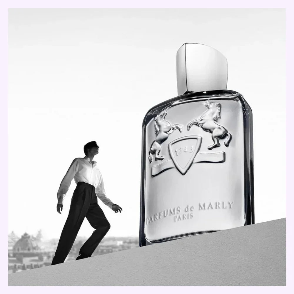 Parfums de Marly Castley 4.2 fl oz / 125 ml for Men – Authentic Luxury Fragrance | Free USA Shipping - Hub Wavy