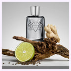 Parfums de Marly Castley 4.2 fl oz / 125 ml for Men – Authentic Luxury Fragrance | Free USA Shipping - Hub Wavy