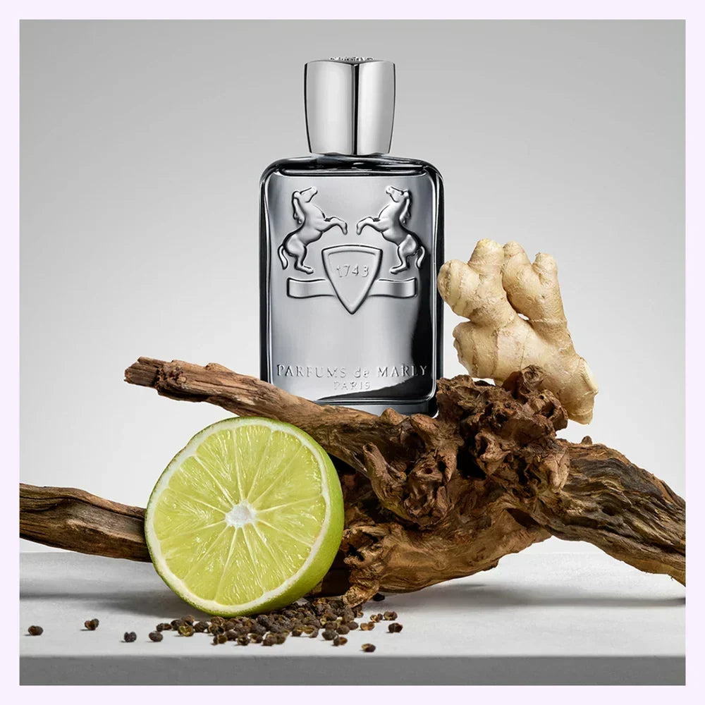 Parfums de Marly Castley 4.2 fl oz / 125 ml for Men – Authentic Luxury Fragrance | Free USA Shipping - Hub Wavy