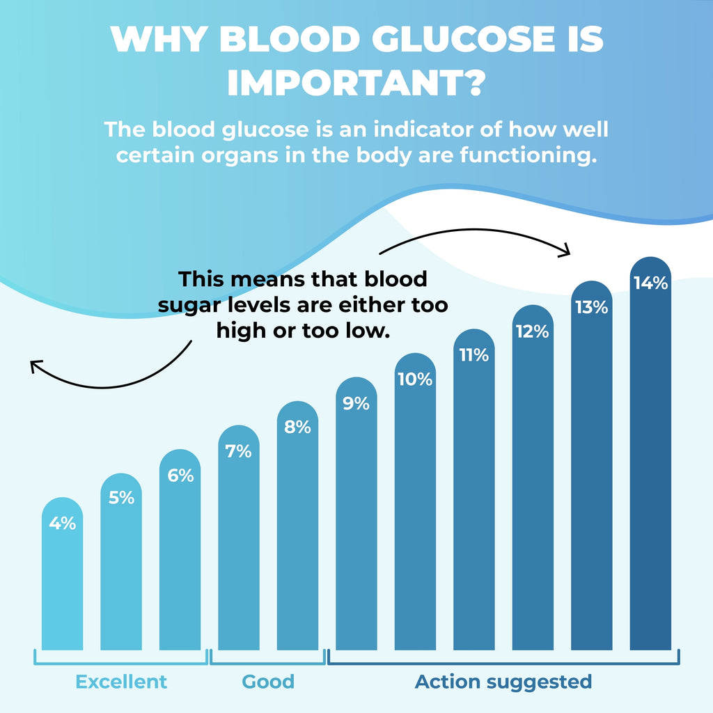 PureHealth Research Blood Sugar Support - Metabolism, Energy & Glucose Support