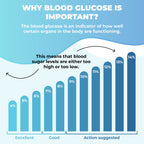 PureHealth Research Blood Sugar Support - Metabolism, Energy & Glucose Support