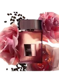 Tom Ford Café Rose Sealed Unisex Eau de Parfum, 3.4 oz (100 ml)
