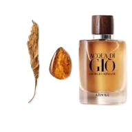Giorgio Armani Acqua di Giò Absolu Profumo unisex perfume bottle, 3.4 oz / 100 ml, with sleek design and minimalist label.
