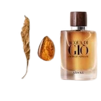 Giorgio Armani Acqua di Giò Absolu Profumo unisex perfume bottle, 3.4 oz / 100 ml, with sleek design and minimalist label.