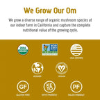 Om Mushroom Superfood Master Blend - Certified Organic Mushroom Powder - 80 Ser