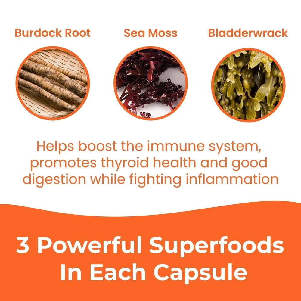 INFINITE AGE 1250mg Sea Moss Advanced Superfood Capsules, 60 Count - High-Pot...
