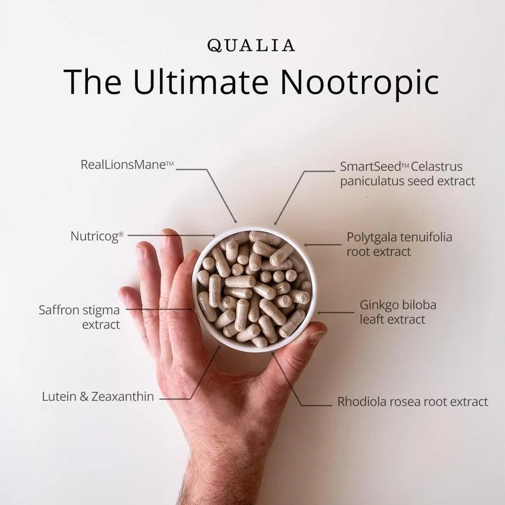 Qualia Mind 2.0 Nootropic Brain Supplement Focus Memory Energy 120 Capsules