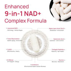 Selerb NAD+ Supplements designed for-Energy Health Skin Nicotinamide Riboside 60