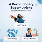TRU NIAGEN NAD+ Supplement, Nicotinamide Riboside 1000mg, 30 Daily Servings