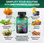 Sea Moss, Black Seed Oil, Ashwagandha, Turmeric, Ginger (16 in 1 Multivitamin)