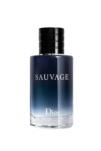 Hub Wavy Dior Sauvage 100ml men's woody fresh perfume bottle with sleek design and modern branding.